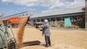 Почему новые квоты на экспорт зерна не помешают агробизнесу заработать 